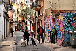 Valencia Barrio del Carmen 25095338261